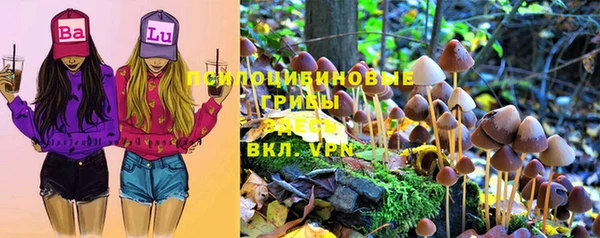 прущая мука Арсеньев